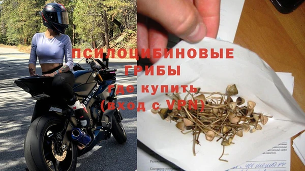 прущая мука Арсеньев