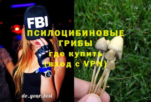прущая мука Арсеньев