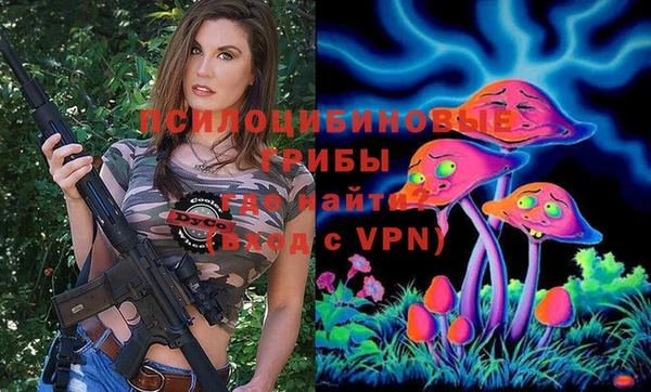 ALPHA PVP Армянск