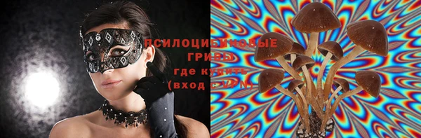 прущая мука Арсеньев