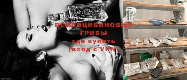 СК Аркадак