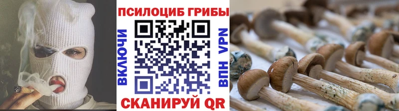Псилоцибиновые грибы Cubensis  купить наркотик  Усть-Джегута 